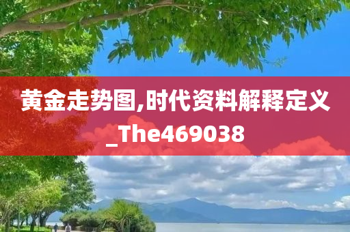 黄金走势图,时代资料解释定义_The469038