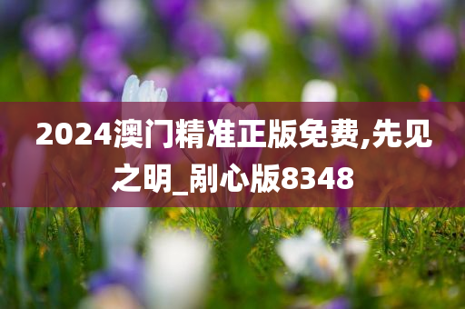 2024澳门精准正版免费,先见之明_剐心版8348