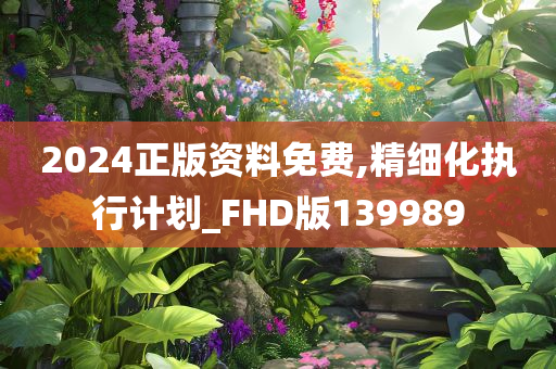 2024正版资料免费,精细化执行计划_FHD版139989