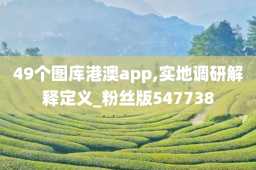 49个图库港澳app,实地调研解释定义_粉丝版547738