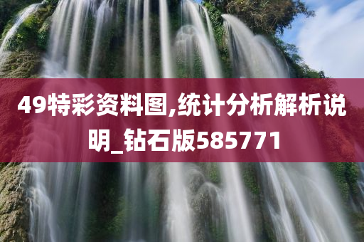 49特彩资料图,统计分析解析说明_钻石版585771