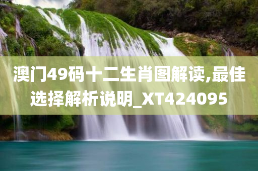 澳门49码十二生肖图解读,最佳选择解析说明_XT424095