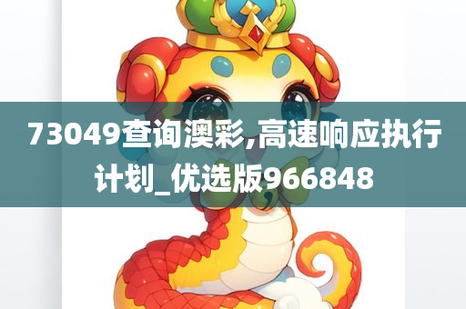 73049查询澳彩,高速响应执行计划_优选版966848