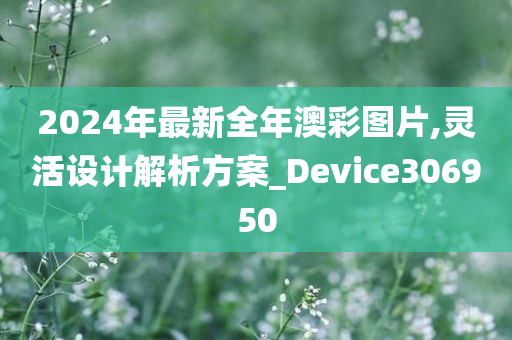 2024年最新全年澳彩图片,灵活设计解析方案_Device306950