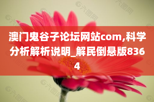 澳门鬼谷子论坛网站com,科学分析解析说明_解民倒悬版8364