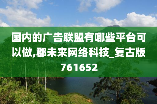 国内的广告联盟有哪些平台可以做,郡未来网络科技_复古版761652