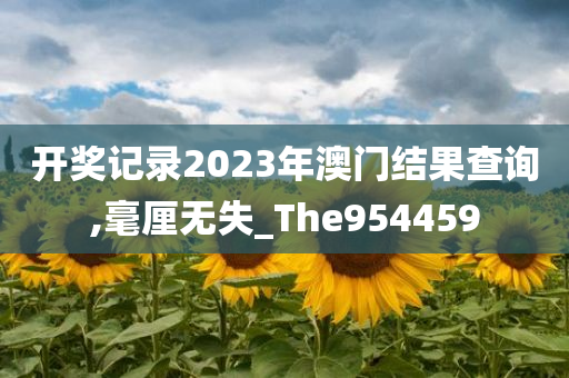 开奖记录2023年澳门结果查询,毫厘无失_The954459