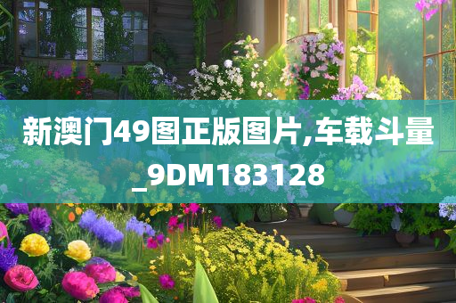 新澳门49图正版图片,车载斗量_9DM183128