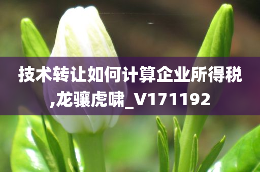 技术转让如何计算企业所得税,龙骧虎啸_V171192