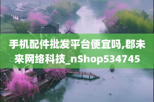 手机配件批发平台便宜吗,郡未来网络科技_nShop534745