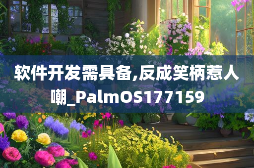 软件开发需具备,反成笑柄惹人嘲_PalmOS177159