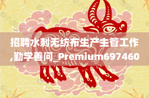 招聘水刺无纺布生产主管工作,勤学善问_Premium697460