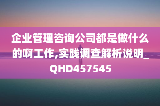 企业管理咨询公司都是做什么的啊工作,实践调查解析说明_QHD457545