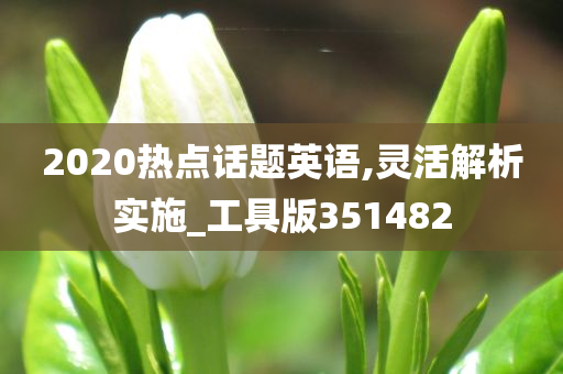 2020热点话题英语,灵活解析实施_工具版351482