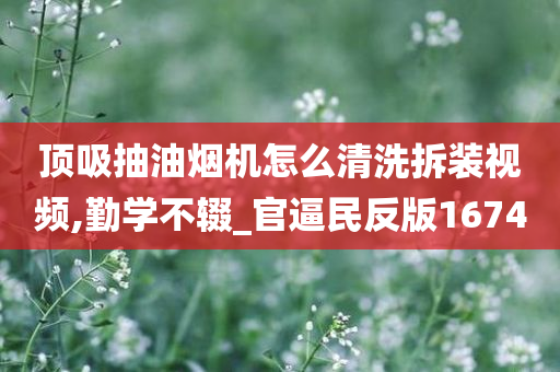 顶吸抽油烟机怎么清洗拆装视频,勤学不辍_官逼民反版1674