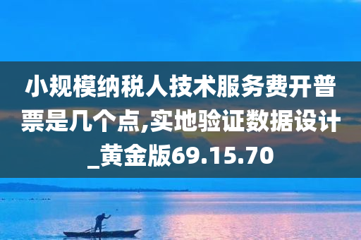 小规模纳税人技术服务费开普票是几个点,实地验证数据设计_黄金版69.15.70