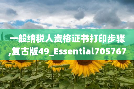 一般纳税人资格证书打印步骤,复古版49_Essential705767