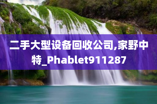 二手大型设备回收公司,家野中特_Phablet911287