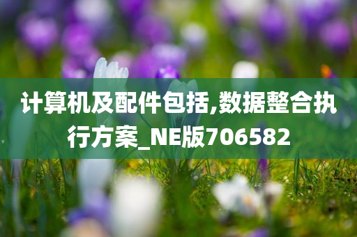 计算机及配件包括,数据整合执行方案_NE版706582