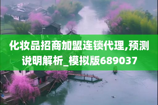 化妆品招商加盟连锁代理,预测说明解析_模拟版689037