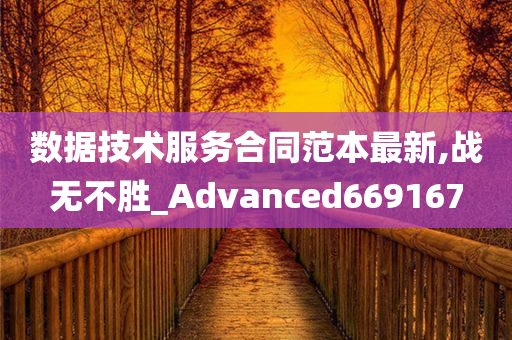 数据技术服务合同范本最新,战无不胜_Advanced669167