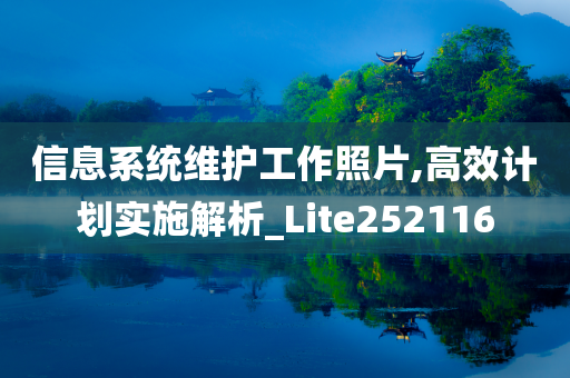 信息系统维护工作照片,高效计划实施解析_Lite252116