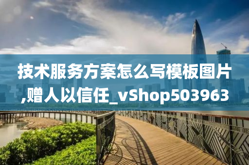 技术服务方案怎么写模板图片,赠人以信任_vShop503963