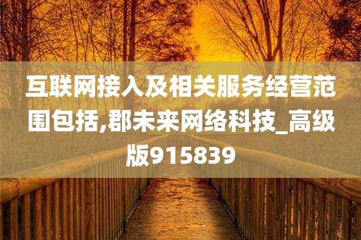 互联网接入及相关服务经营范围包括,郡未来网络科技_高级版915839