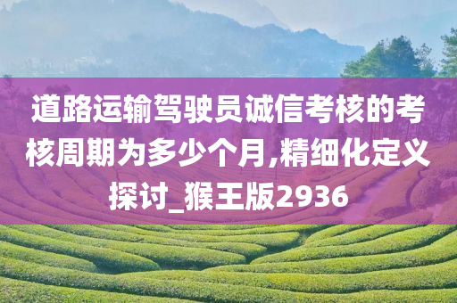 道路运输驾驶员诚信考核的考核周期为多少个月,精细化定义探讨_猴王版2936