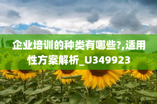 企业培训的种类有哪些?,适用性方案解析_U349923