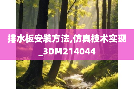 排水板安装方法,仿真技术实现_3DM214044