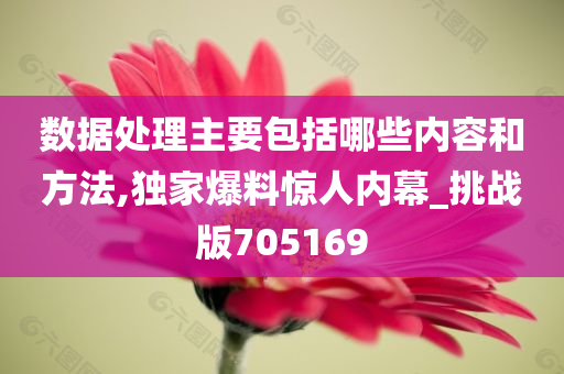 数据处理主要包括哪些内容和方法,独家爆料惊人内幕_挑战版705169