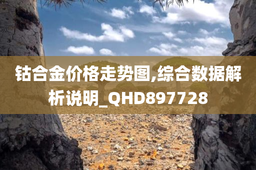 钴合金价格走势图,综合数据解析说明_QHD897728