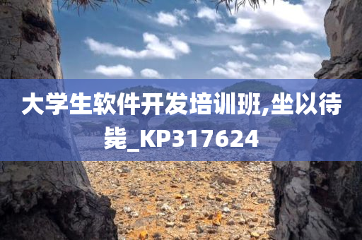 大学生软件开发培训班,坐以待毙_KP317624