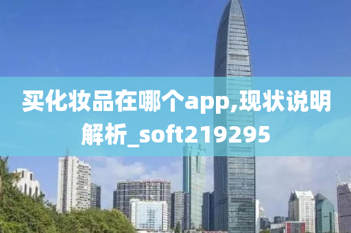 买化妆品在哪个app,现状说明解析_soft219295