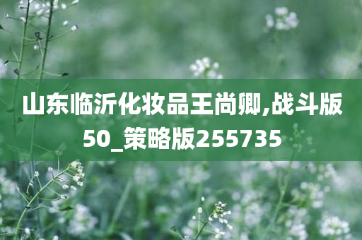 山东临沂化妆品王尚卿,战斗版50_策略版255735