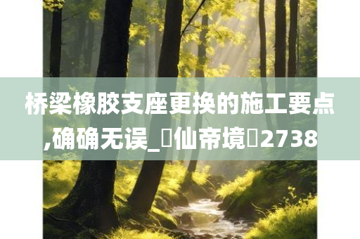 桥梁橡胶支座更换的施工要点,确确无误_‌仙帝境‌2738