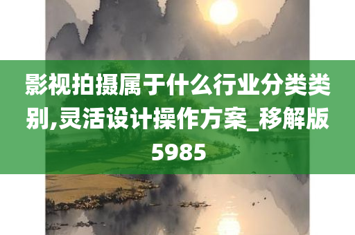 影视拍摄属于什么行业分类类别,灵活设计操作方案_移解版5985