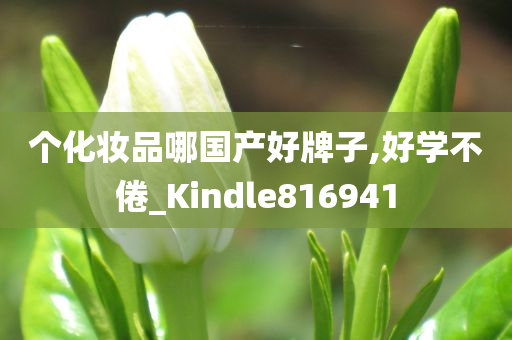 个化妆品哪国产好牌子,好学不倦_Kindle816941