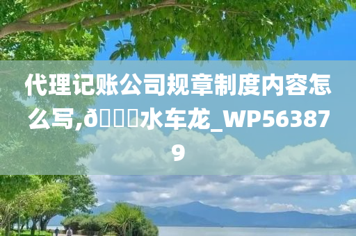 代理记账公司规章制度内容怎么写,🐎水车龙_WP563879