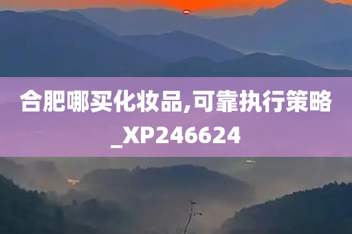 合肥哪买化妆品,可靠执行策略_XP246624