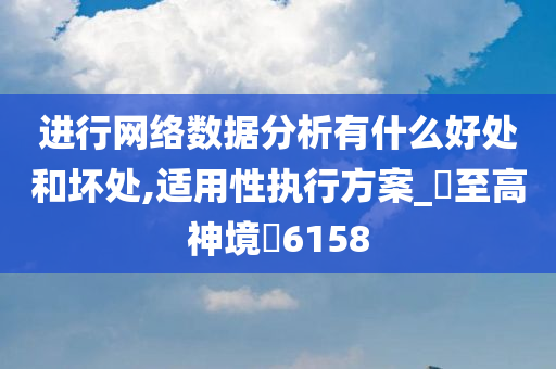 进行网络数据分析有什么好处和坏处,适用性执行方案_‌至高神境‌6158