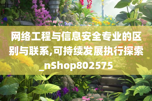 网络工程与信息安全专业的区别与联系,可持续发展执行探索_nShop802575