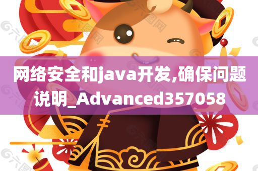 网络安全和java开发,确保问题说明_Advanced357058