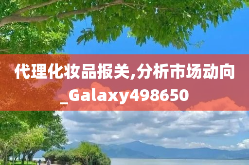 代理化妆品报关,分析市场动向_Galaxy498650