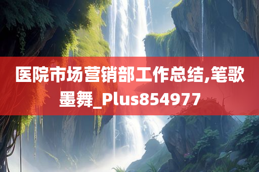 医院市场营销部工作总结,笔歌墨舞_Plus854977