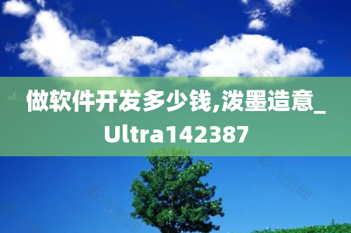 做软件开发多少钱,泼墨造意_Ultra142387