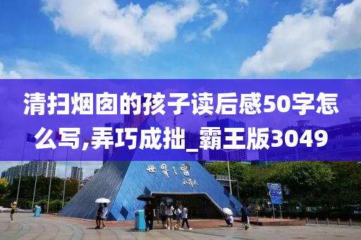 清扫烟囱的孩子读后感50字怎么写,弄巧成拙_霸王版3049