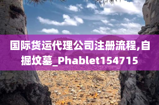 国际货运代理公司注册流程,自掘坟墓_Phablet154715