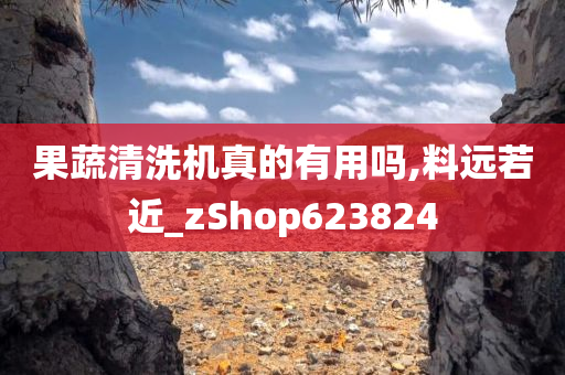 果蔬清洗机真的有用吗,料远若近_zShop623824